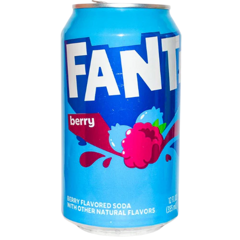 FANTA Berry USA Soft Drink Can (355ml)