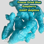 Freeze Dried Dolphins (3pcs) Freeze Dried Candy Freeze Dried 